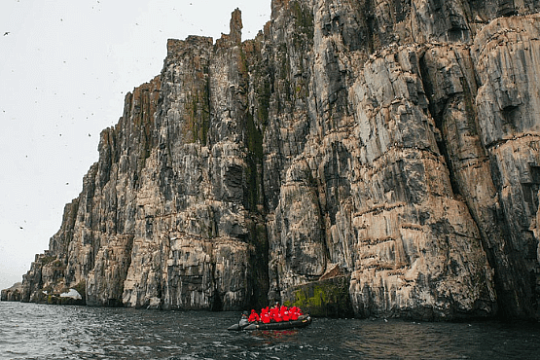 Ein Schlauchboot von dem Kreuzfahrtschiff besucht einen Vogelfelsen und ist auf der Suche nach den perfekten Fotospots
